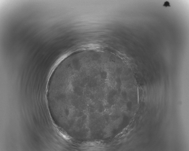 X0000061730147200512050943