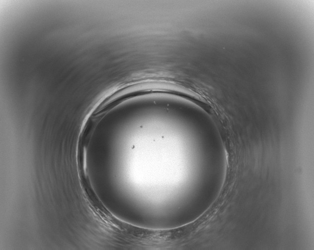 X0000061730148200512050943