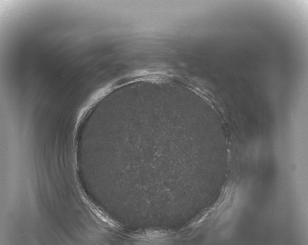 X0000061730149200512050943