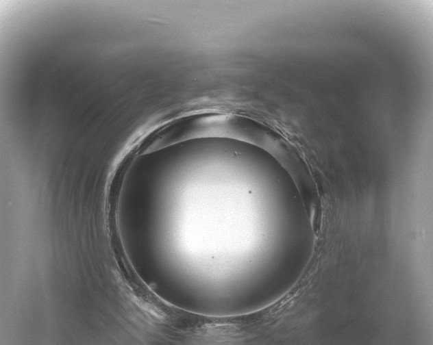 X0000061730150200512050943