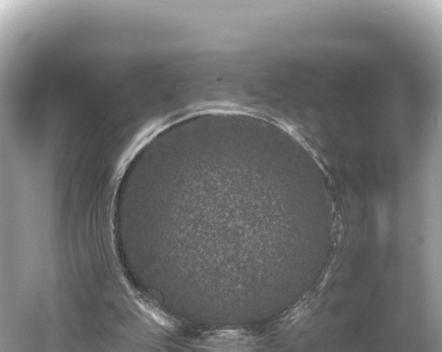 X0000061730151200512050943