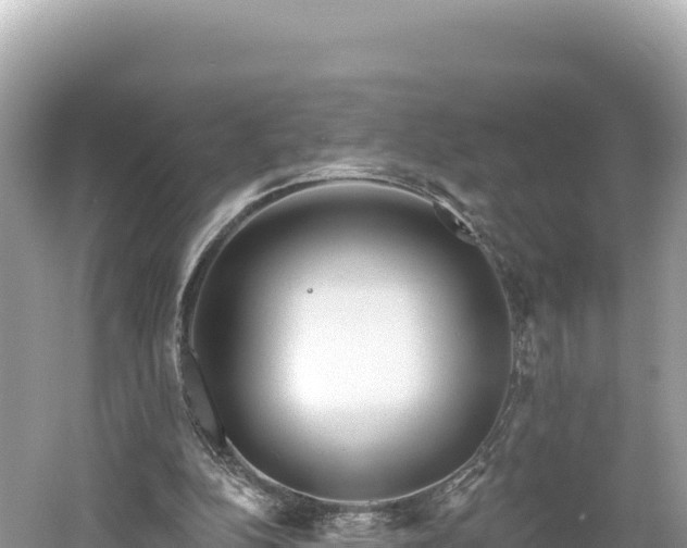 X0000061730152200512050943