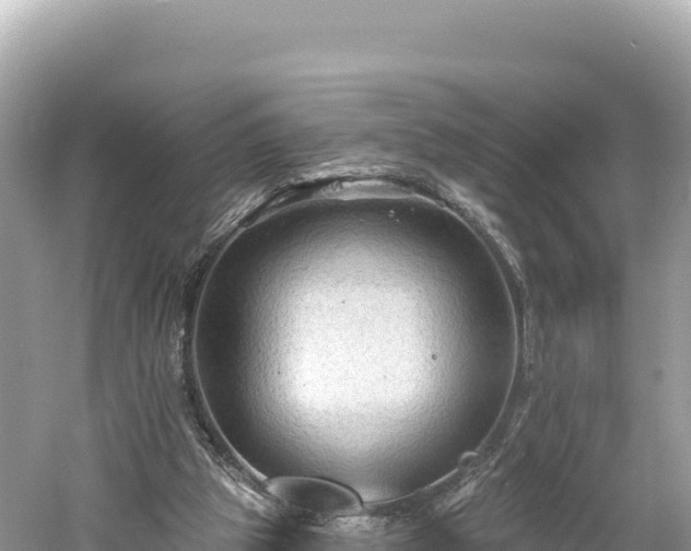 X0000061730153200512050943