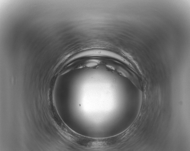 X0000061730154200512050943