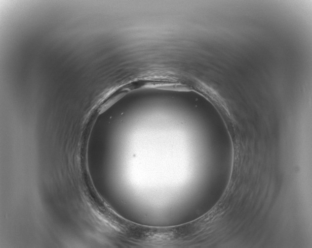 X0000061730155200512050943