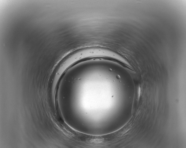 X0000061730156200512050943