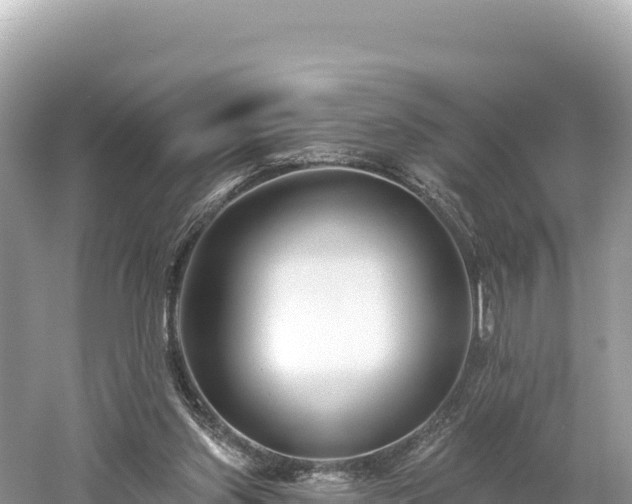 X0000061730157200512050943