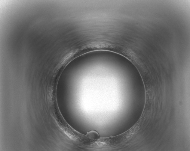 X0000061730159200512050943