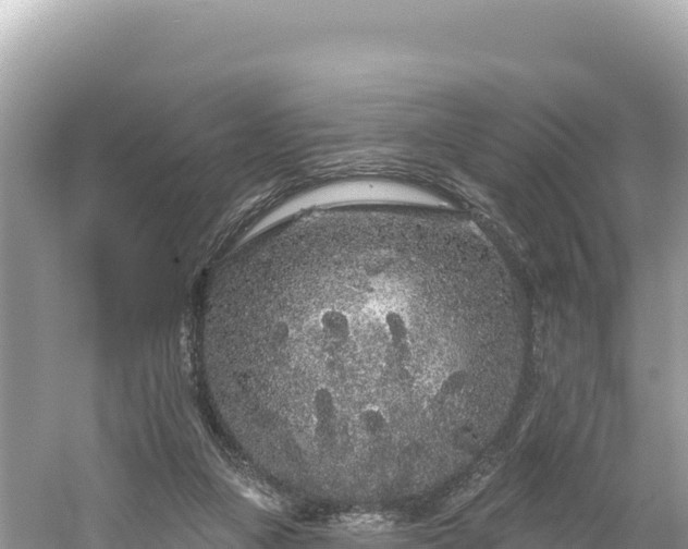 X0000061730161200512050943