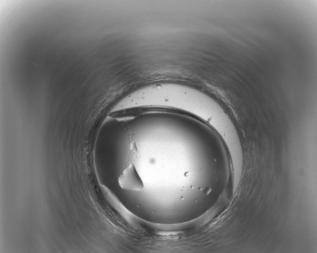 X0000061730162200512050943