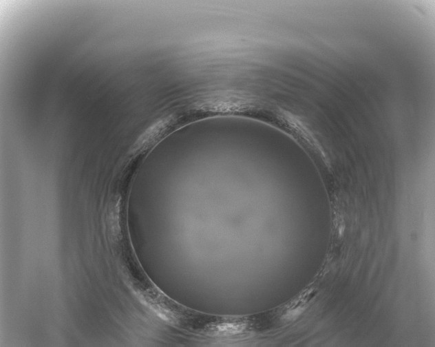 X0000061730163200512050943