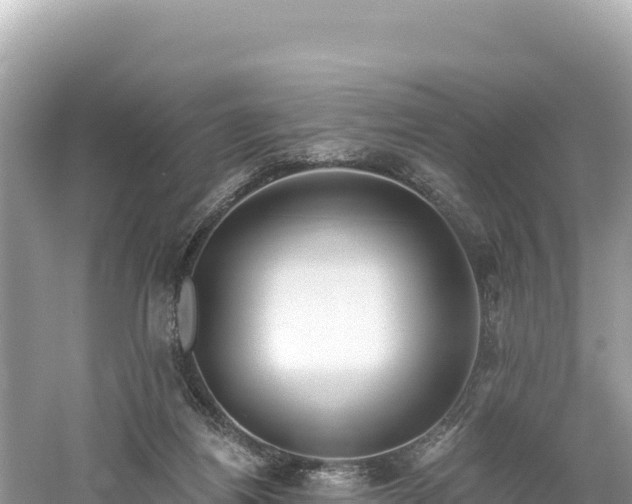 X0000061730164200512050943