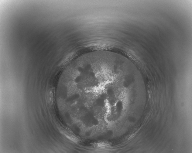 X0000061730165200512050943