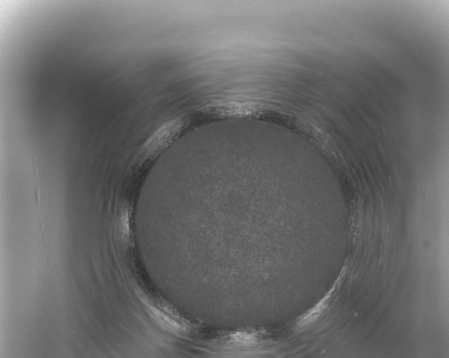 X0000061730166200512050943