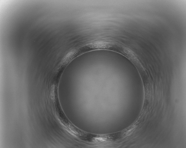 X0000061730167200512050943