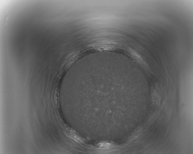 X0000061730169200512050943