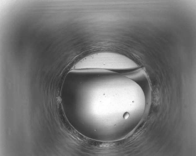 X0000061730172200512050943