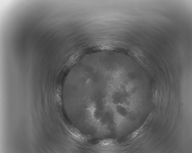 X0000061730175200512050943