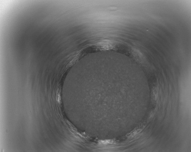 X0000061730177200512050943