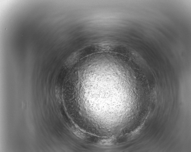 X0000061730178200512050943