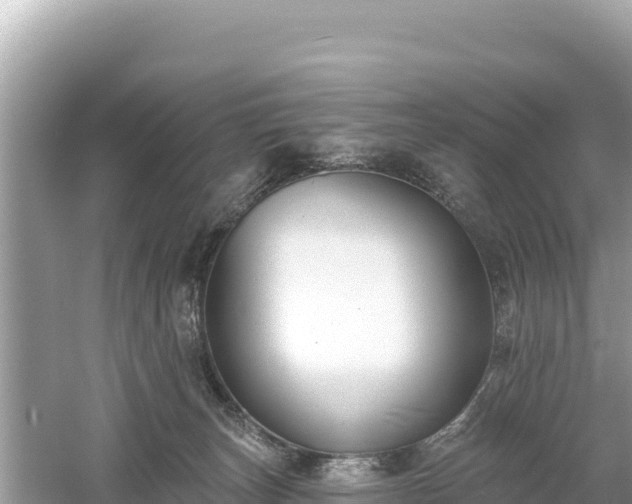 X0000061730179200512050943