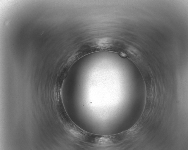 X0000061730180200512050943