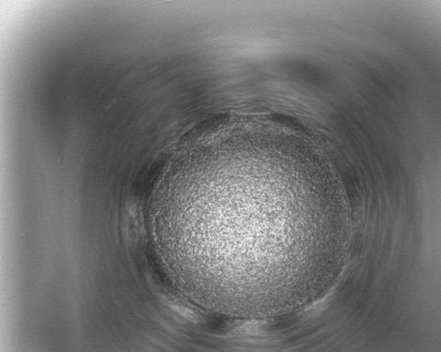 X0000061730182200512050943