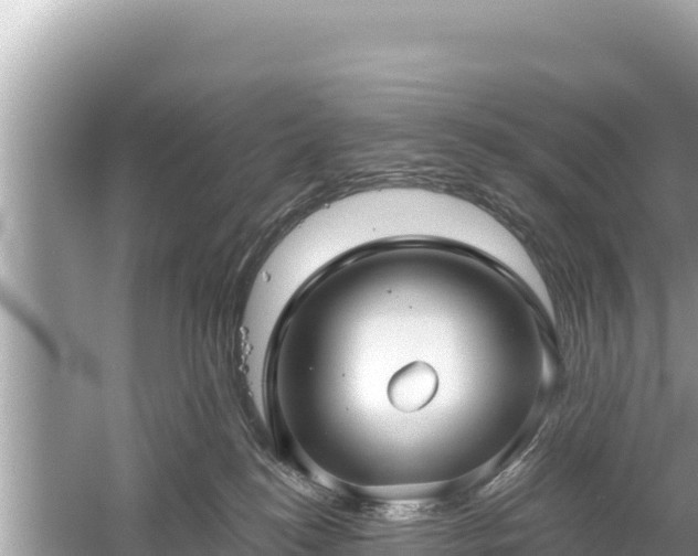 X0000061730184200512050943