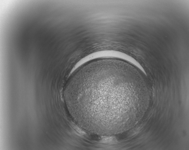 X0000061730185200512050943