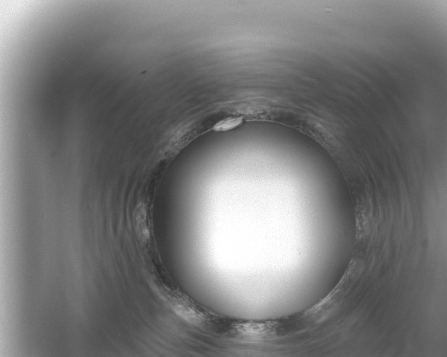 X0000061730187200512050943