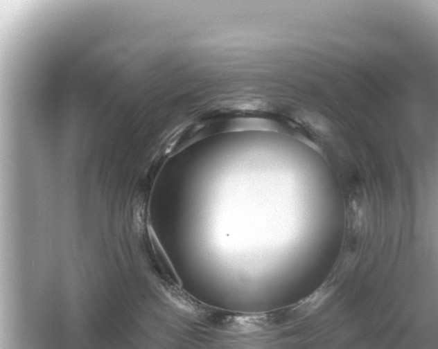 X0000061730188200512050943