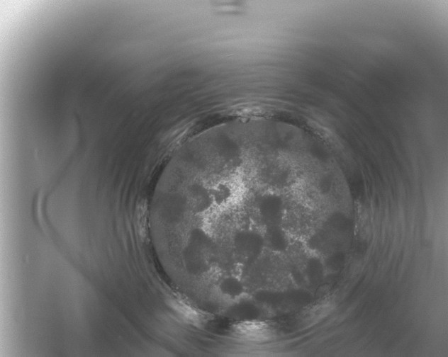 X0000061730189200512050943