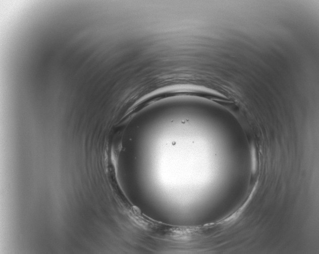 X0000061730190200512050943