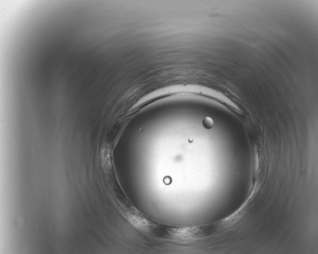 X0000061730191200512050943