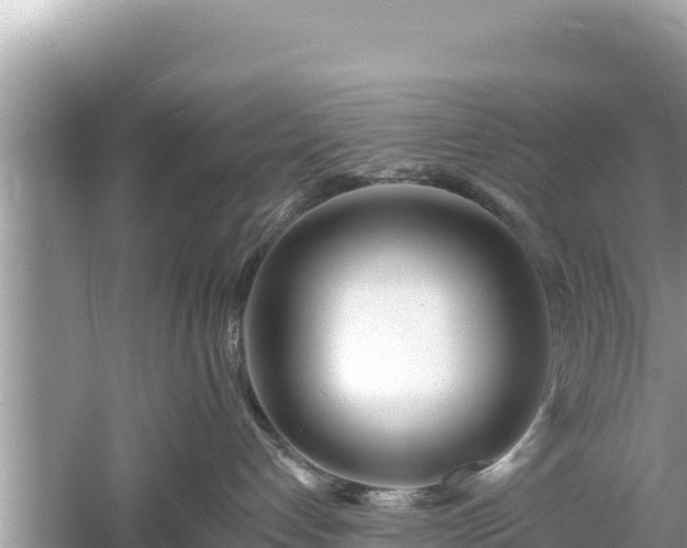 X0000061730192200512050943