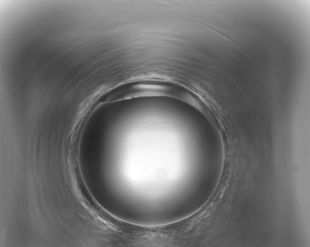 X0000061730193200512050943