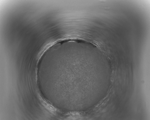 X0000061730194200512050942