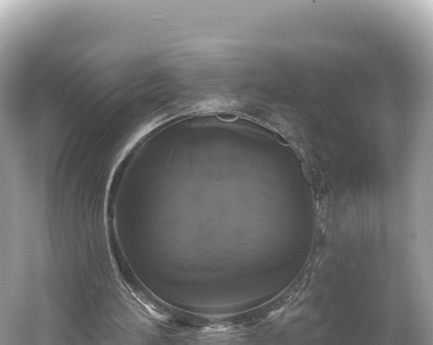 X0000061730196200512050942