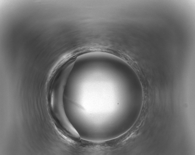 X0000061730197200512050942