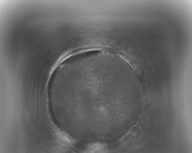 X0000061730198200512050942