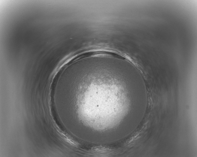 X0000061730199200512050942