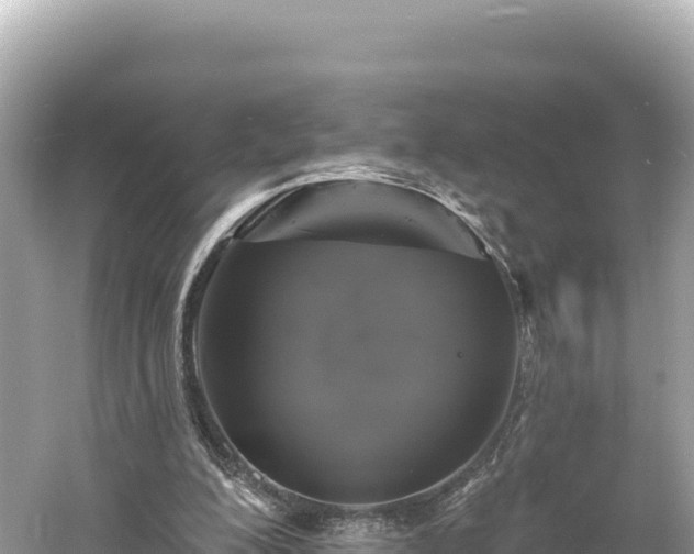 X0000061730200200512050942