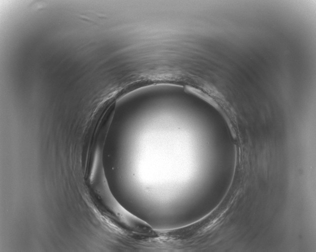 X0000061730201200512050942