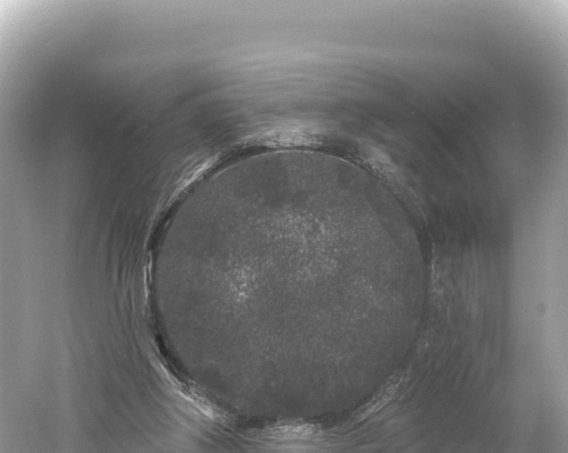 X0000061730202200512050942