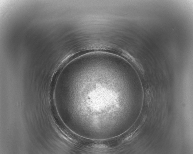 X0000061730203200512050942