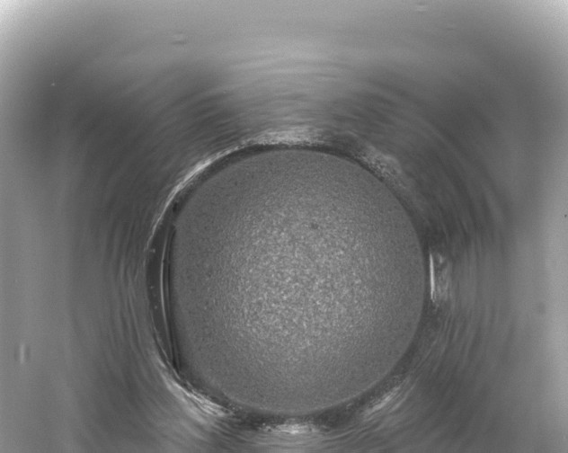 X0000061730204200512050942