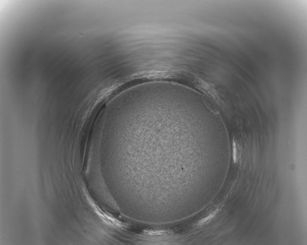 X0000061730205200512050942