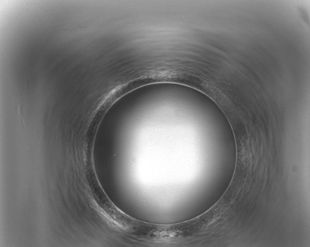 X0000061730208200512050942