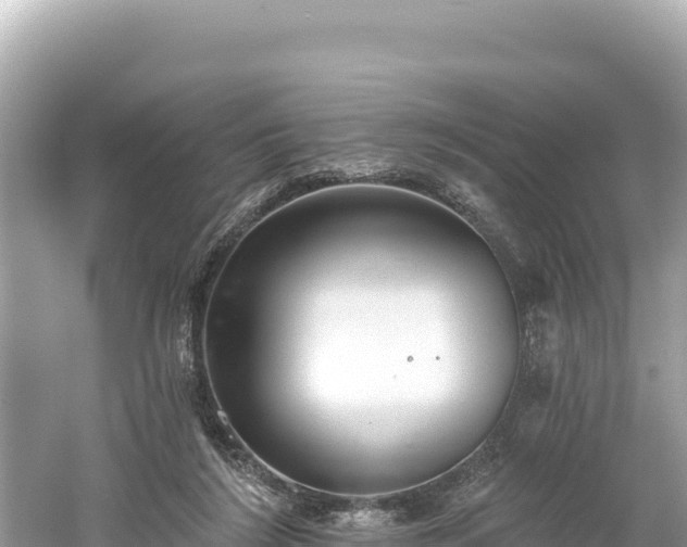 X0000061730212200512050942