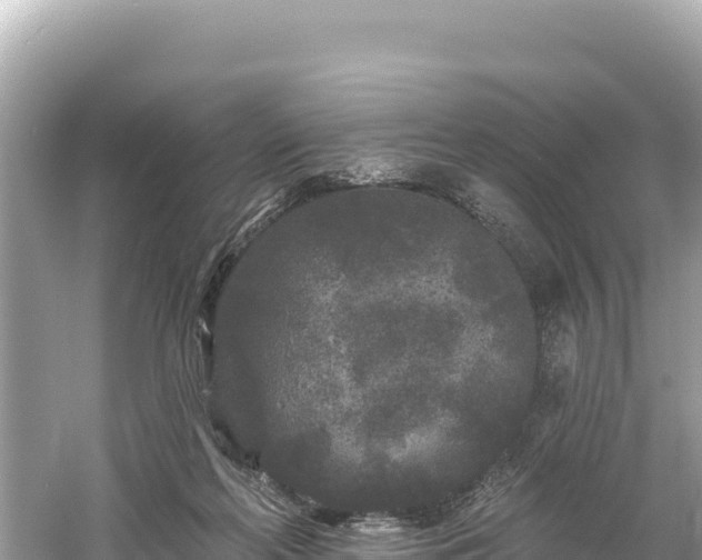 X0000061730214200512050942